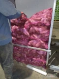 Witam sprzedam buraczki długie odmiana ALTO worek lub big bag myty lub brudny. Ilości tirowe. Zapraszam do współpracy 