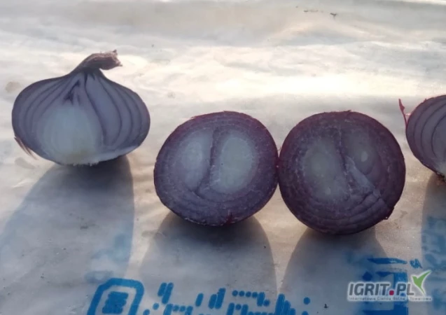 /images/posts/2025/07/2034873/cutccuT0RzcRFMU5DPtVCKG810btP2cAXvEPAtz1.jpeg