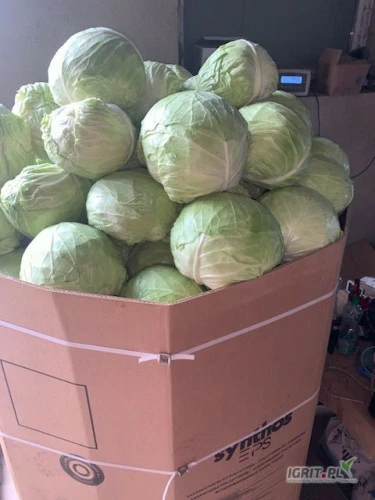 /images/posts/2024/07/1882791/Ci16bcl2OmTlf6cyo5khiDkUq0HnYywJuKfvit6O.jpeg
