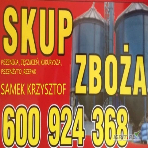 /images/posts/2024/10/1924830/xkAGxDIPylPj8gIzJ29ijZZ0HSn4ktZmgjcQ1WQ6.jpeg