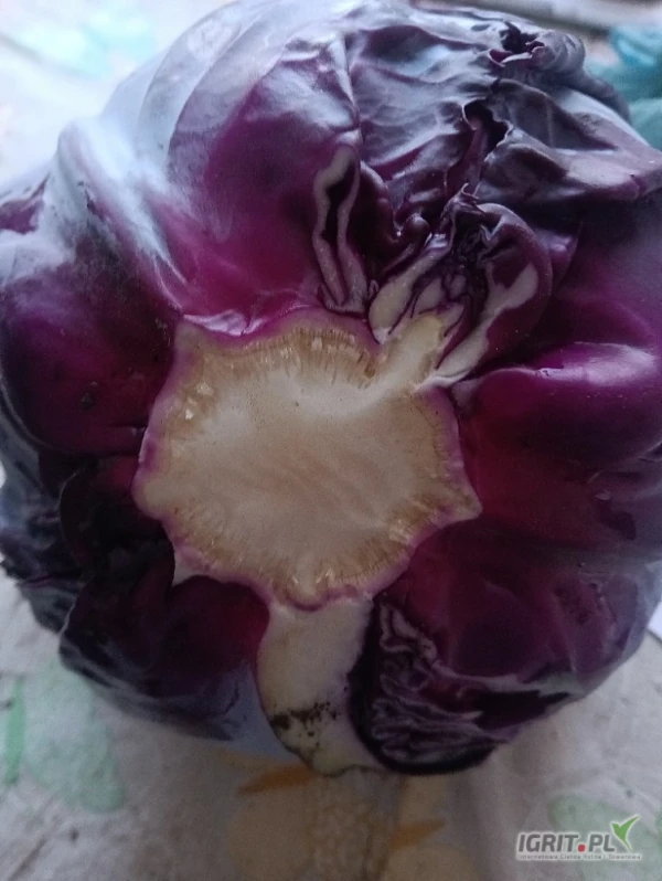 /images/posts/2025/07/2035497/Z63WGjFE1dMQLHZZzRTtSqxZ2ngQJwDiuRWnmLLx.jpeg