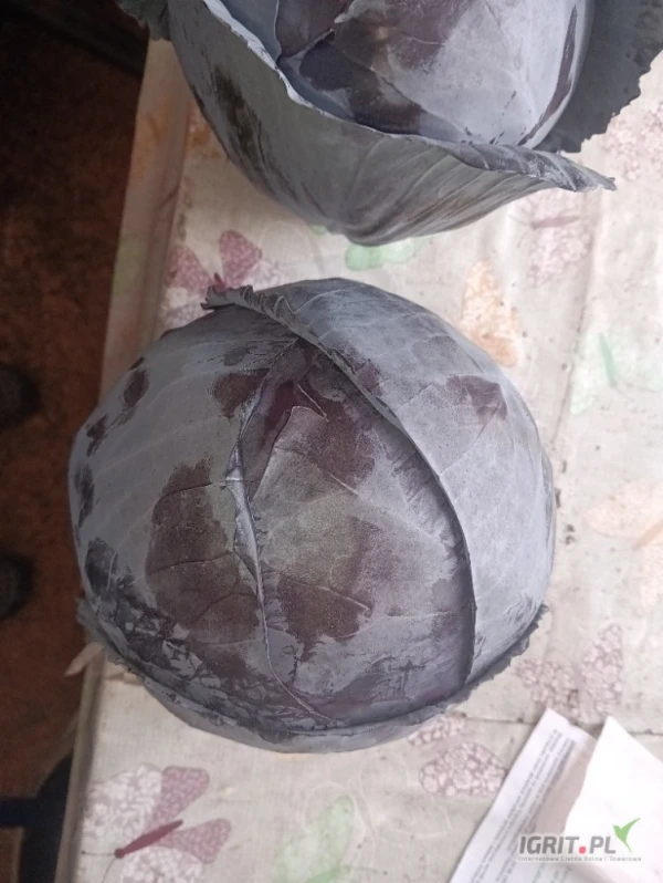 /images/posts/2025/07/2035497/9ZKBdiSwoSXstjbj5D5oJSy9OGOnTzFmY2M4zvo1.jpeg