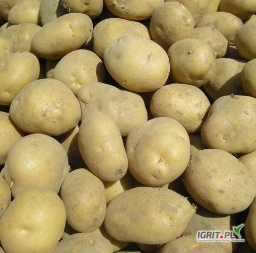 /images/posts/2025/03/1985766/Qiji0GS3kHSki4LAJUwwvMt2KMAVtQnBhjUpfPIB.jpeg