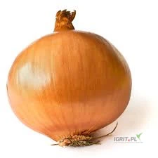 /images/posts/2025/07/2035719/o3awFoxdOIPPfWu4oYL3LczF4SytvHJgXfkg6zCC.jpeg