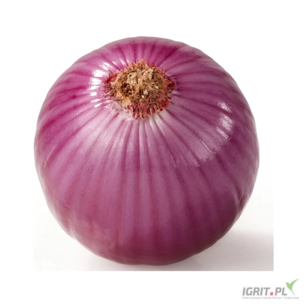 /images/posts/2025/07/2035719/kBkAeDMcSawuZoBs5b4zJ7sdD39nWpIByRvJw8f8.jpeg