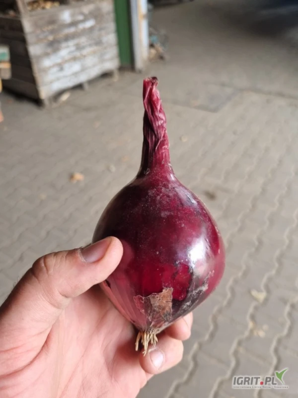/images/posts/2025/07/2035984/EUiVNioOvppiMuuXkEZdJERDKsu8AwupTpP24qIL.jpeg