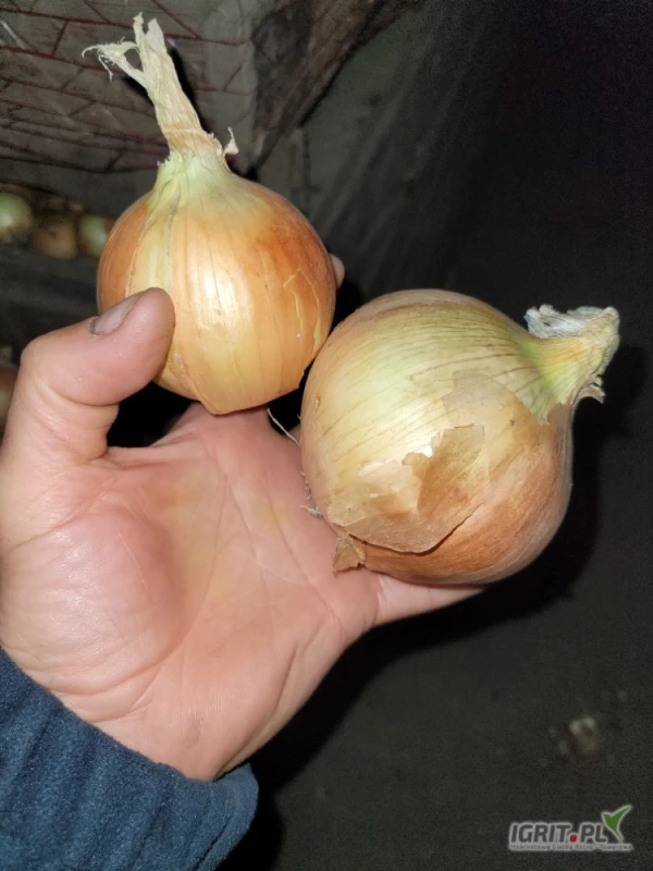 /images/posts/2025/07/2036106/KIvTFqY7FxVKF8eFFispFDo1sNUgCJyilfoxM7sZ.jpeg