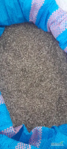/images/posts/2024/08/1900141/wXrIkR8vNX9JBsO9gGHT5I01XYufD6So85VEGnlp.jpeg