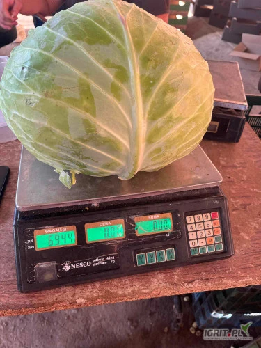 /images/posts/2024/07/1883728/FWkxdmzcFV8zH85RhVC9JoKS12XVk9wClfrhE0bJ.jpeg
