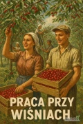Zatrudnię do rwania wiśni. Okolice Obrazowa
