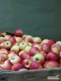 Sprzedam za wagę skrzyni:
