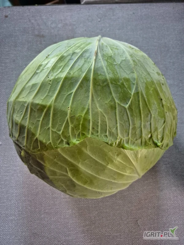 /images/posts/2025/07/2037189/eZOY1ZiimwJsiBE92LLaJiADQUFPzpGCzIYDkS8o.jpeg