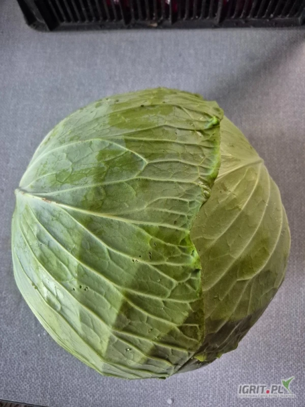 /images/posts/2025/07/2037189/5rmPYDa2kfP3yXNbyjOgSq0qWDYCkPkTcjoYDfNa.jpeg