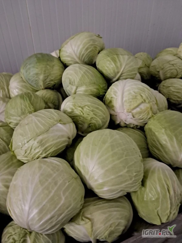 /images/posts/2025/07/2037556/HDYwCYE32ri0IfyZcaumrCkY1HvH3gksTwDR6tSj.jpeg