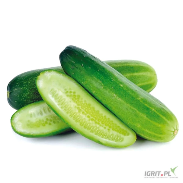 /images/posts/2025/07/2037594/SqYi7FlKUa0ZUeqXPgllc42hrsSPgAQG5jU8ktw6.jpeg