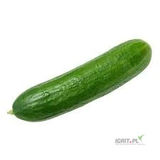 /images/posts/2025/07/2037594/OYj4zbuqI6lsqeR5Ztbk1Tg5kVKmNPZia3r1wYvh.jpeg