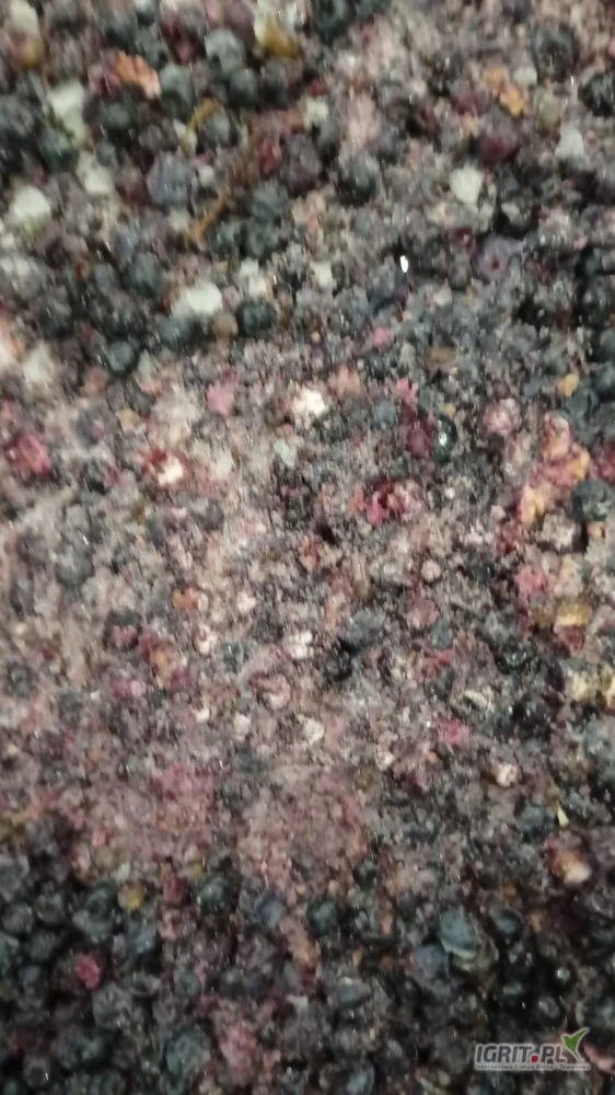 /images/posts/2025/07/2037933/leu7uVRaeNZats6jyKw4b8dPu55Fxu83XzOREElB.jpeg