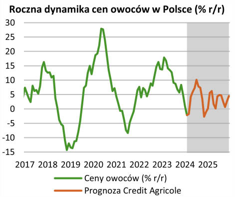 Roczna dynamika